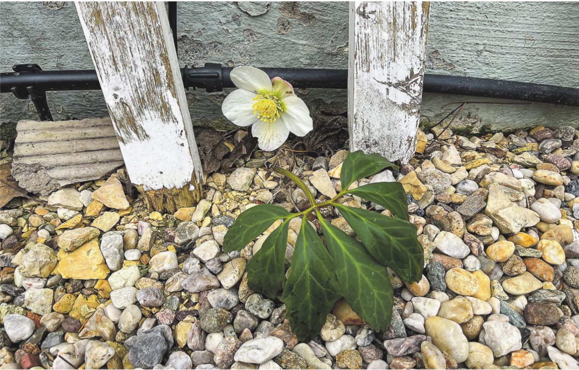 Bild des Tages - Das Bild wird blockiert. – Möglicherweise durch einen aktiven Adblocker.