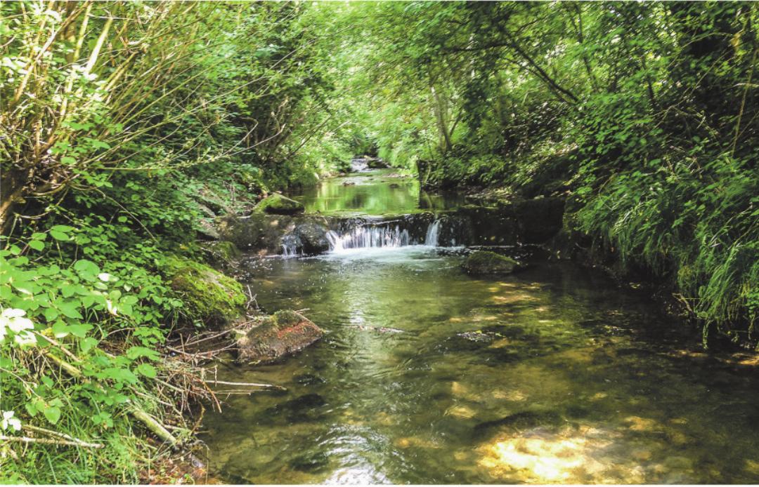 Die Gemeindefischereirechte wurden neu verpachtet. Im Bild die Lützelmurg. Die Gemeindefischereirechte wurden neu verpachtet. Im Bild die Lützelmurg.