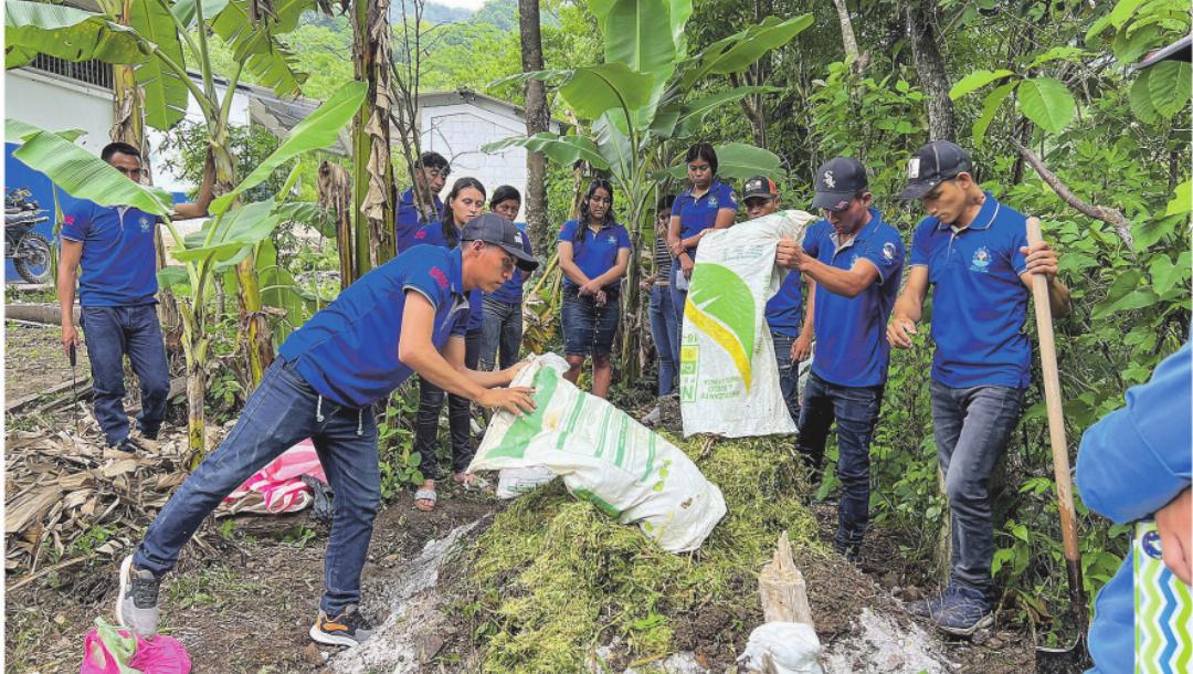 Herstellung eines Komposthaufens in Honduras. Herstellung eines Komposthaufens in Honduras.