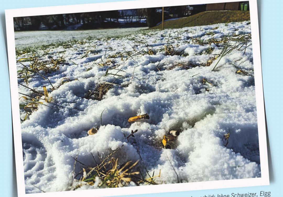 Schnee ist kein Aschenbecher!  Leserbild: Irène Schweizer, Elgg