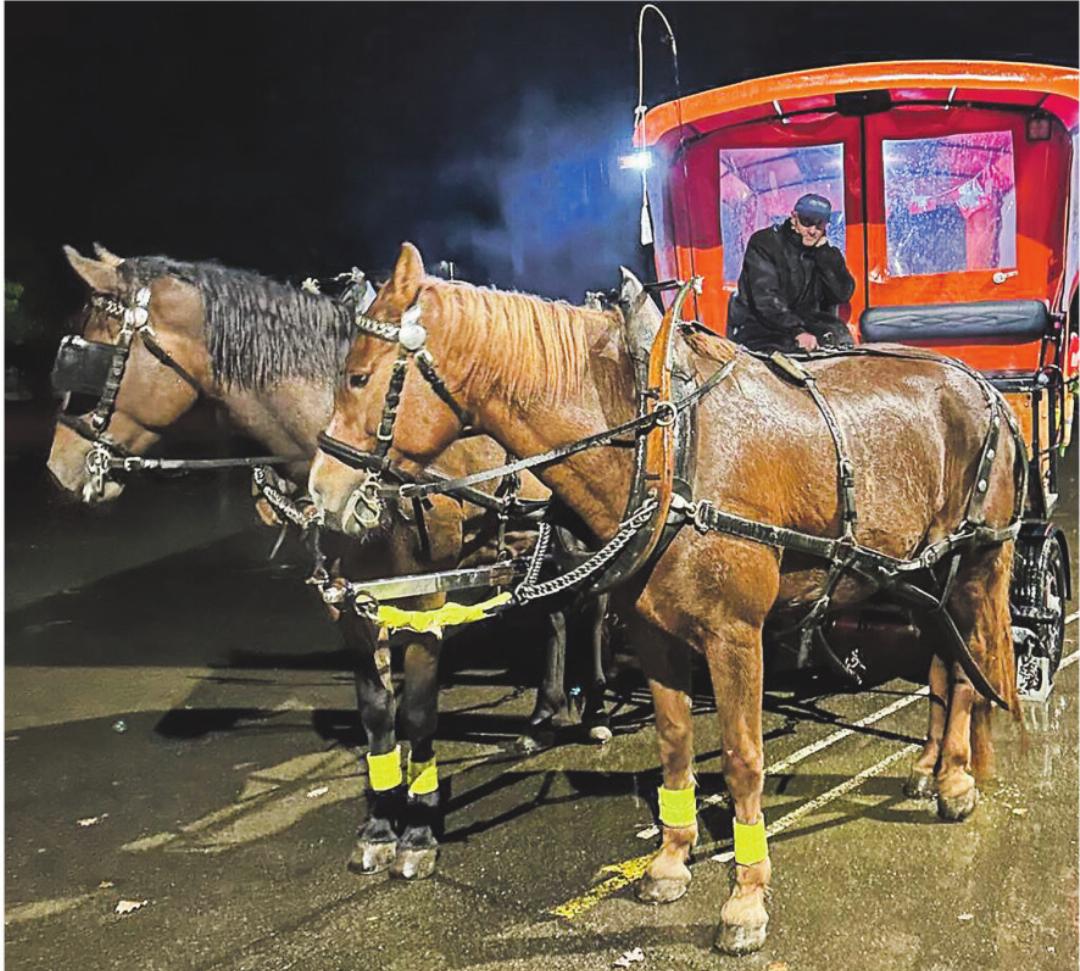Ein Highlight des Jahres war der Ausflug mit der Pferdekutsche. Bilder: zVg Ein Highlight des Jahres war der Ausflug mit der Pferdekutsche. Bilder: zVg