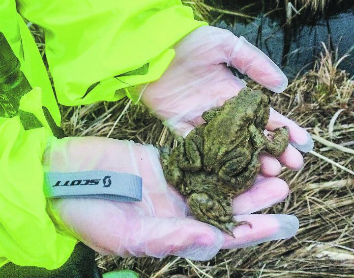 Die Stiftung TBB Schweiz ruft die Bevölkerung dazu auf, in den kommenden Wochen besonders achtsam zu sein. Bild: zVg