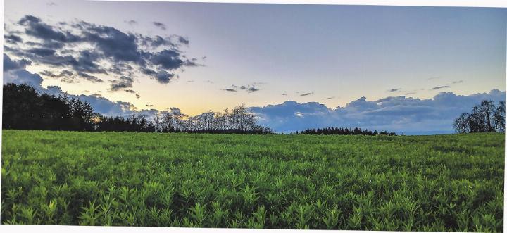 Abendspaziergang in Elgg. Bild: Brigitte Ostertag, Elgg