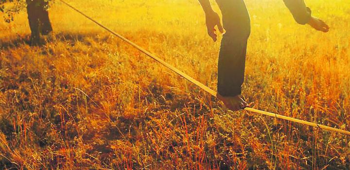 Schlaf ist lebenswichtig – gerade in stressigen Zeiten. Heilpflanzen wie Baldrian, Hopfen oder Lavendel können helfen, zur Ruhe zu finden. Bild: Beat Brechbühl