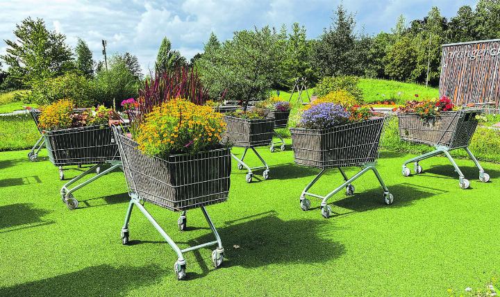 Einkaufswagentreff im «Park um Grüene» in Rüschlikon. Leserbild: Irene Hess, Aadorf