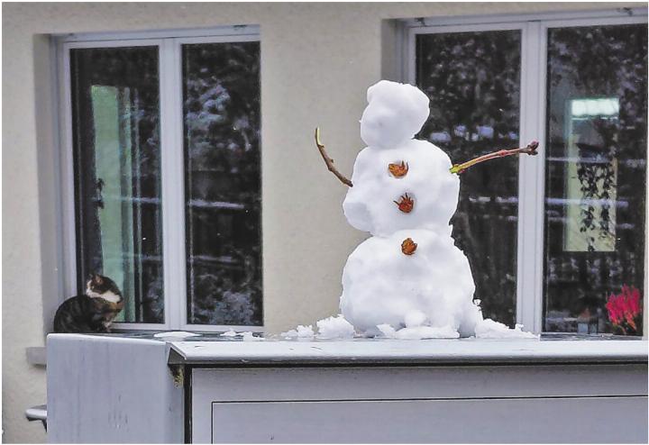 Der erste Schneemann kam scheinbar per Post. Leserbild: Hans Maag, Elgg Der erste Schneemann kam scheinbar per Post. Leserbild: Hans Maag, Elgg