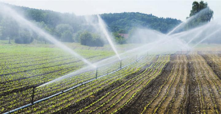 Die Landwirtschaft braucht ausreichend Wasser, um die Flächenproduktivität erhalten zu können. Bild: Gabriela Brändle, Agroscope