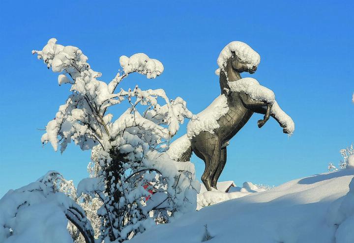 An alle Hitzegeplagten: Der nächste Winter kommt bestimmt. Leserbild: Sandor Mester, Elgg