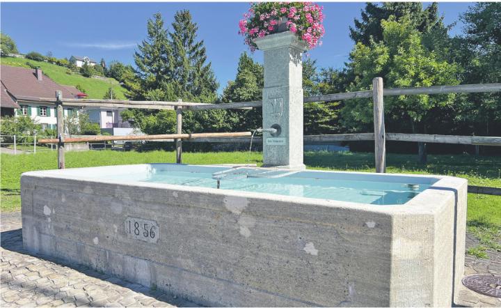 In Aadorf gab es bisher keine Probleme mit badenden Hunden: Brunnen an der Weidlistrasse in Ettenbausen.