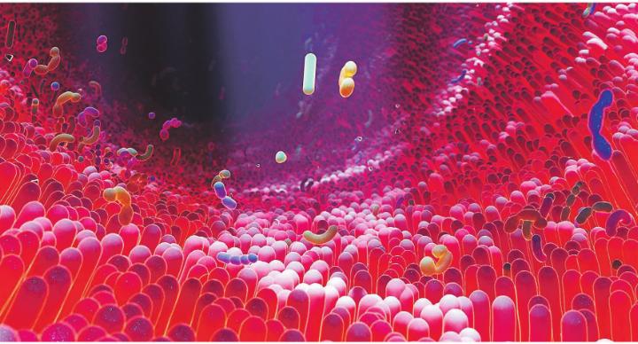 Referent Ronny Hürlimann spricht am 9. März in Aadorf über die Bedeutung der Darmgesundheit. Bild: gettyimages.com