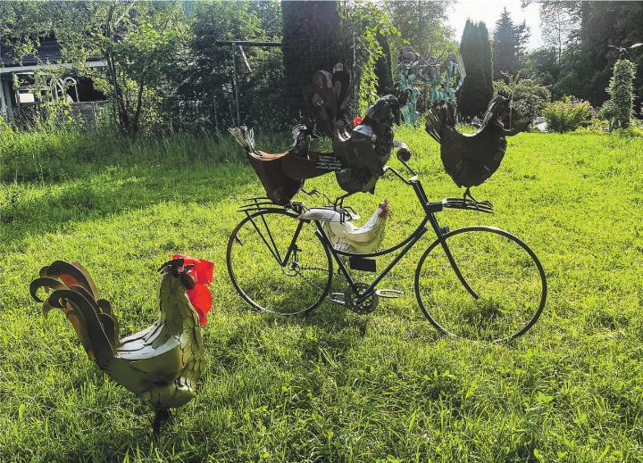 Skulpturenpark: Hühnervelo im Abendlicht. Leserbild: Irene Hess, Aadorf