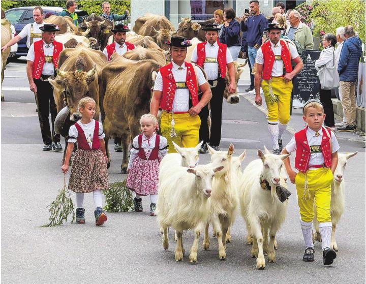 Alpabzug in Appenzell. Leserbild: Sonja Lutz, Elgg