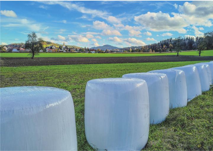 Schön aufgereiht. Leserbild: Irène Schweizer, Elgg