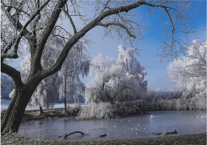 Derzeit ist Baden im Badweiher zwischen Hagenbuch und Oberschneit nicht möglich.       Leserbild: Hans Maag, Elgg