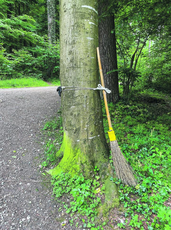 Eine seltsame Entdeckung im Käsernholz in Aadorf. Leserbild: Stefan Wanzenried, Wittenwil