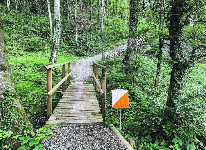 Orientierungslauf ist ein naturnaher Sport für alle. Bild: zvg