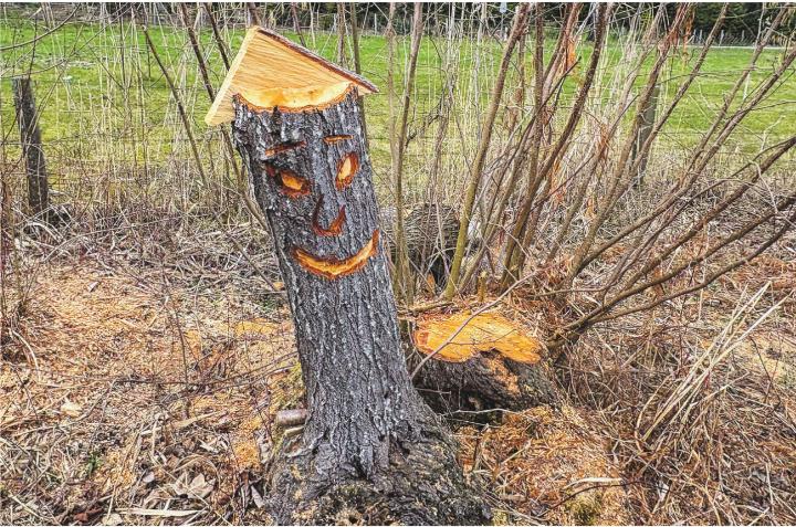 Wenn der Förster kreativ wird. Gesehen am Bettenauer Weiher, Oberuzwil. Leserbild: Milo Kalberer, Bazenheid