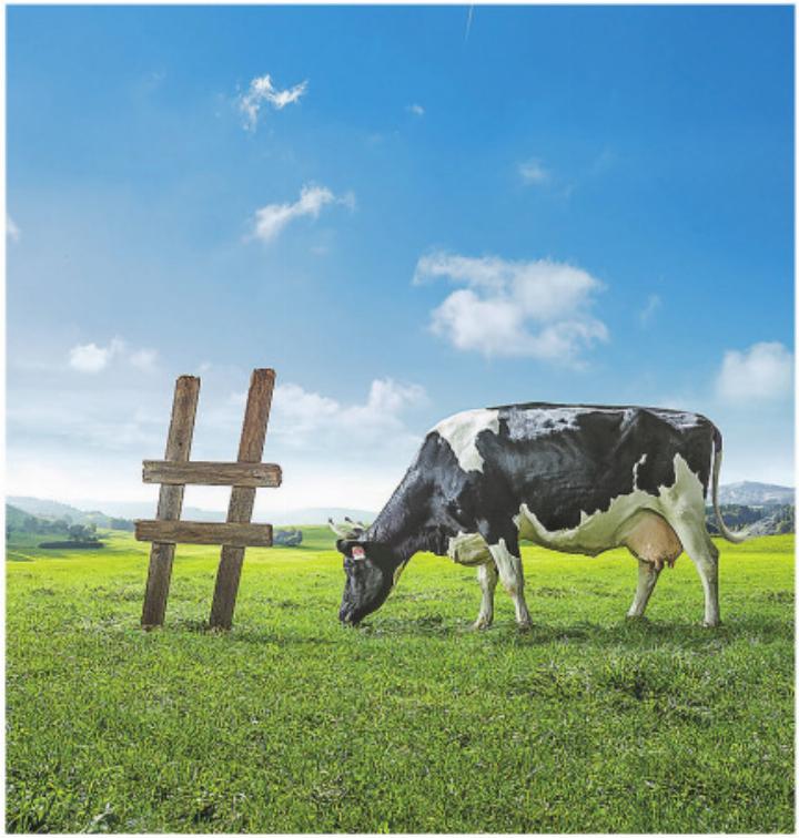 Besucherinnen und Besucher genossen am Tag der Schweizer Milch frische Produkte und Begegnungen. Bild: swissmilk.ch