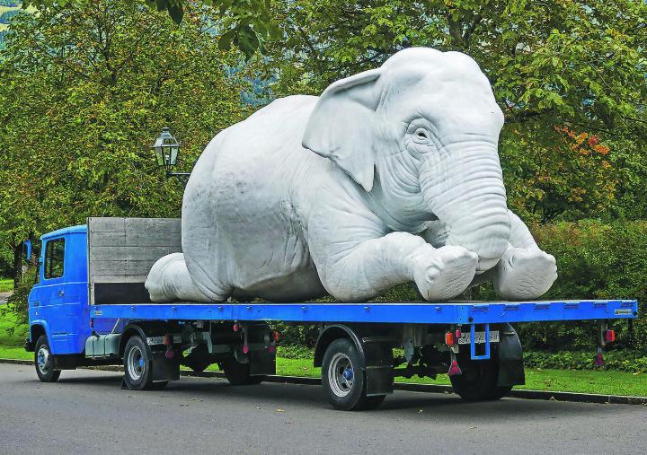 Bereit für ein «Elefantenrennen» auf der N13? Schnappschuss aus dem Skulpturenpark Bad Ragaz. Leserbild: Hans Maag, Elgg