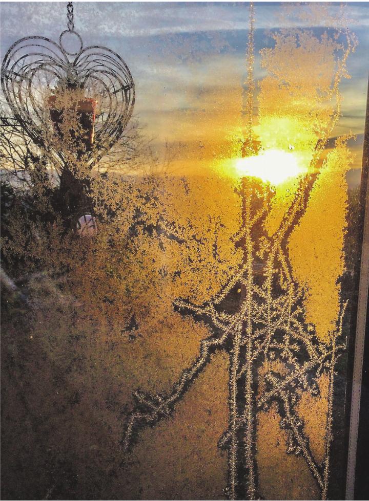 Erster Eisstern am Gartenfenster mit Morgensonne. Leserbild: Monika Specker, Häuslenen