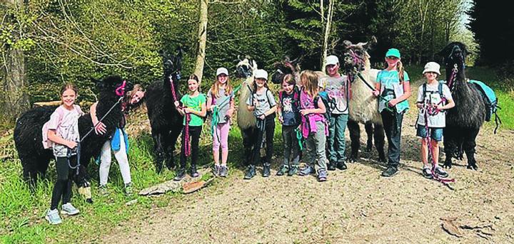 Ob im Wald, mit Tieren oder lieber sportlich in der Turnhalle unterwegs: Der Ferienspass Aadorf bietet verschiedene Kurse und Erlebnisse an. Bild: zVg