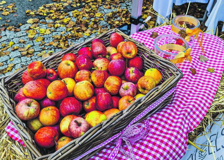 Nebst feinen Birnen werden von diesen runden Früchten rund 80 Sorten am kommenden Apfelmarkt in Elgg angeboten. Archivbild: EAZ