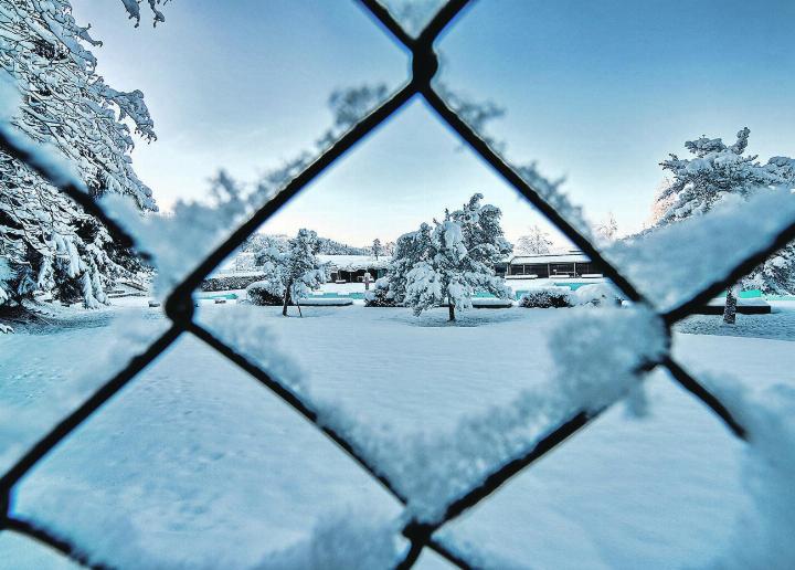 Elgger «Schwümbi» im Winterschlaf. Leserbild: Jürg Altwegg, Elgg