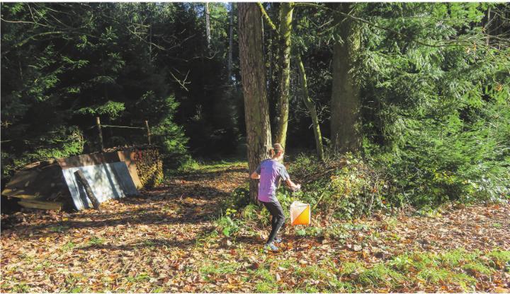 Teamgeist und Abenteuer im Blättermeer: Freude und Einsatz beim diesjährigen OL zwischen Guntershausen und Tuttwil. Bilder: zVg