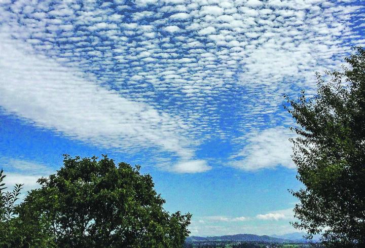 So schön können Wolken sein: Schäfchen-Himmel über Häuslenen. Leserbild: Monika Specker, Häuslenen