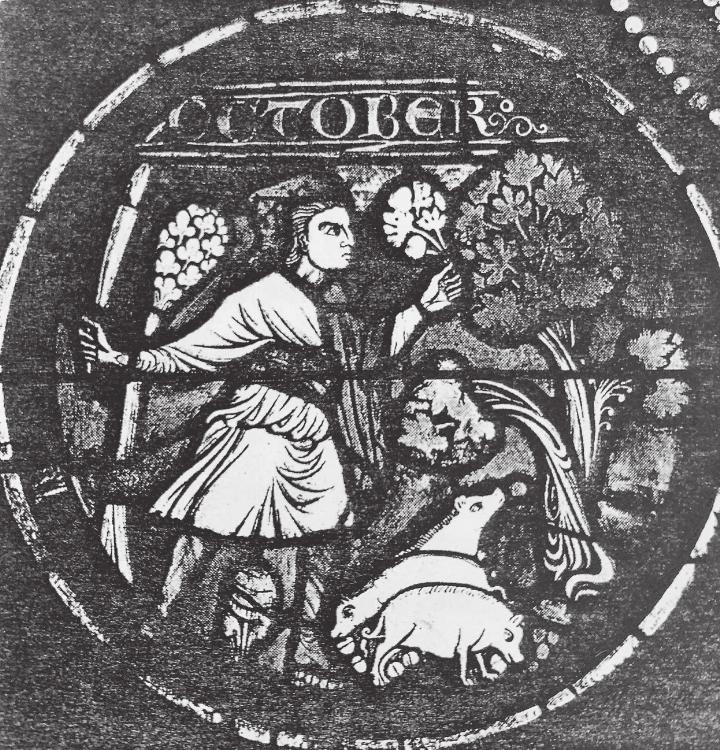 Mittelalterliches Monatsbild um 1235 in der Rosette im südlichen Querarm der Kathedrale Notre-Dame von Lausanne: «Der Hirt treibt die Schweine des Dorfes zur Eichelmast in den Wald.» Bild. zVg