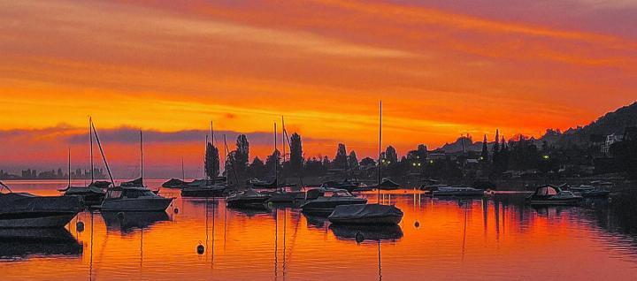 Traumhafte Morgenstimmung in Berlingen am Untersee. Leserbild: Maja Büchi-Hösli