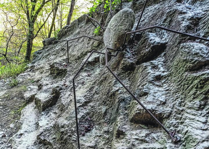 Beim Wandern begegneten wir einer riesigen Spinne. Leserbild: Irène Schweizer, Elgg