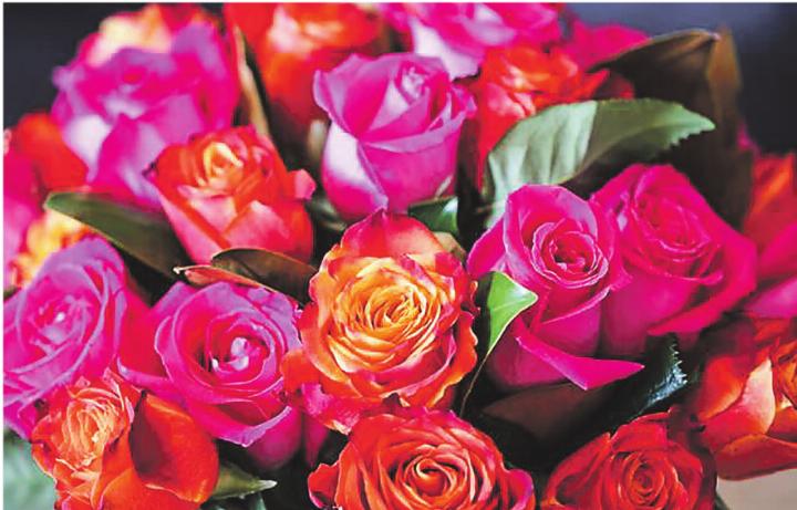 Rosen zur Unterstützung des Fastenopferprojekts in Elgg. Bild: PhotographyByDonnaG