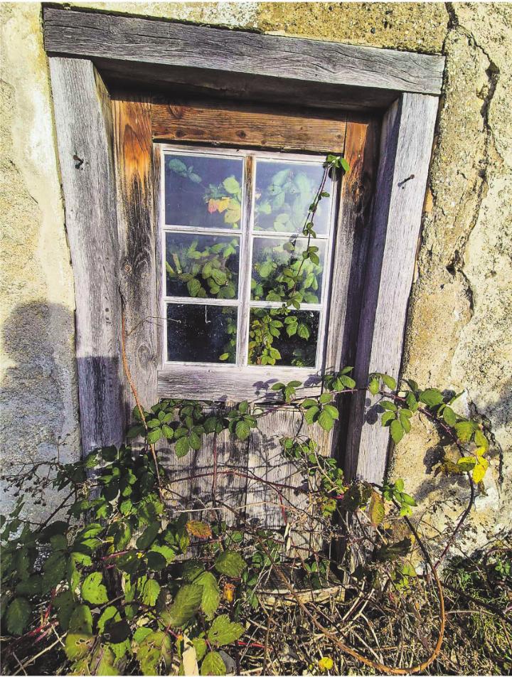 Leserbild: Hildegard Kissling, Aadorf