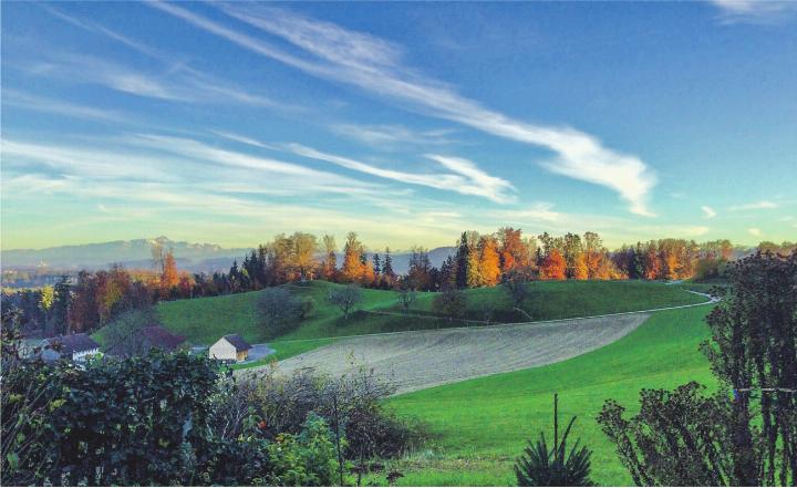 Leserbild: Monika Specker, Häuslenen