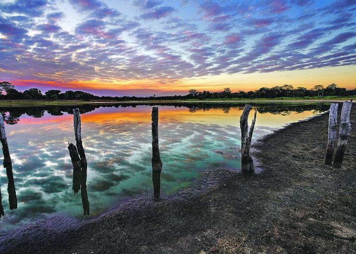 Pantanal, Mato Grosso do Sul, Brasilien.