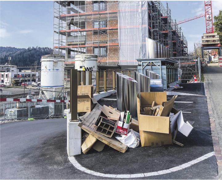 Leserbild: Elsbeth Tanner, Elgg