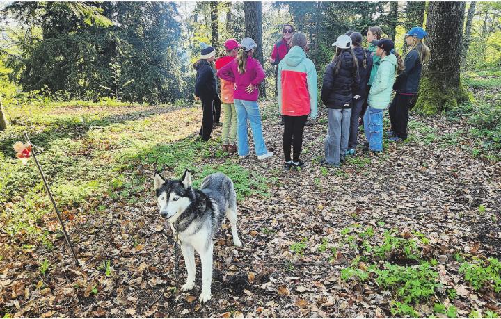 Méli Frei teilt ihr Wissen über die faszinierenden Tiere.