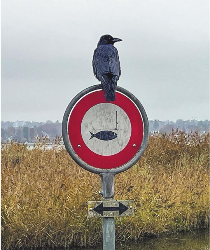 Leserbild: Irene Hess, Aadorf