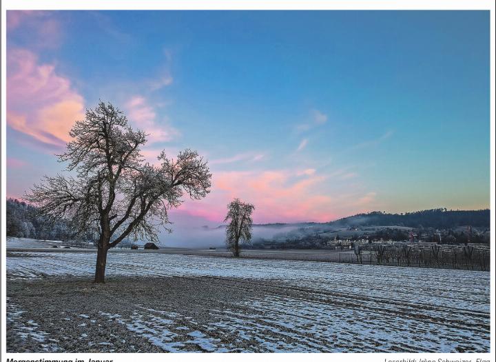 Morgenstimmung im Januar. Leserbild: Irène Schweizer, Elgg