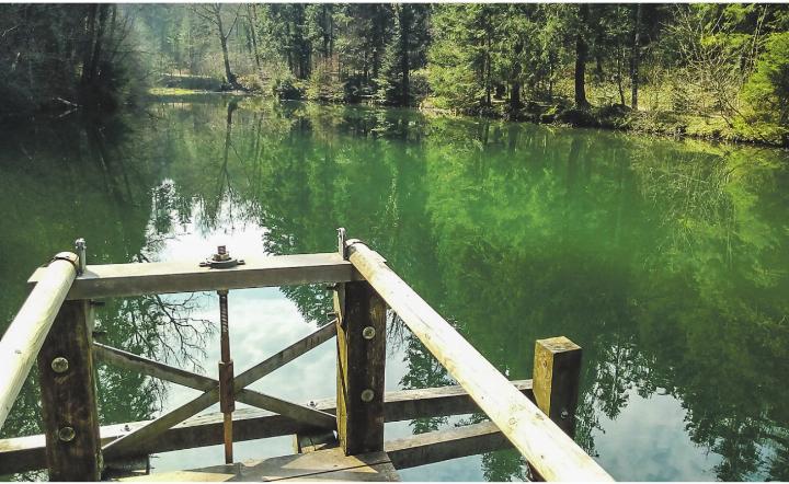 Der Zauberweiher im Zauberwald – Abschalten inbegriffen.