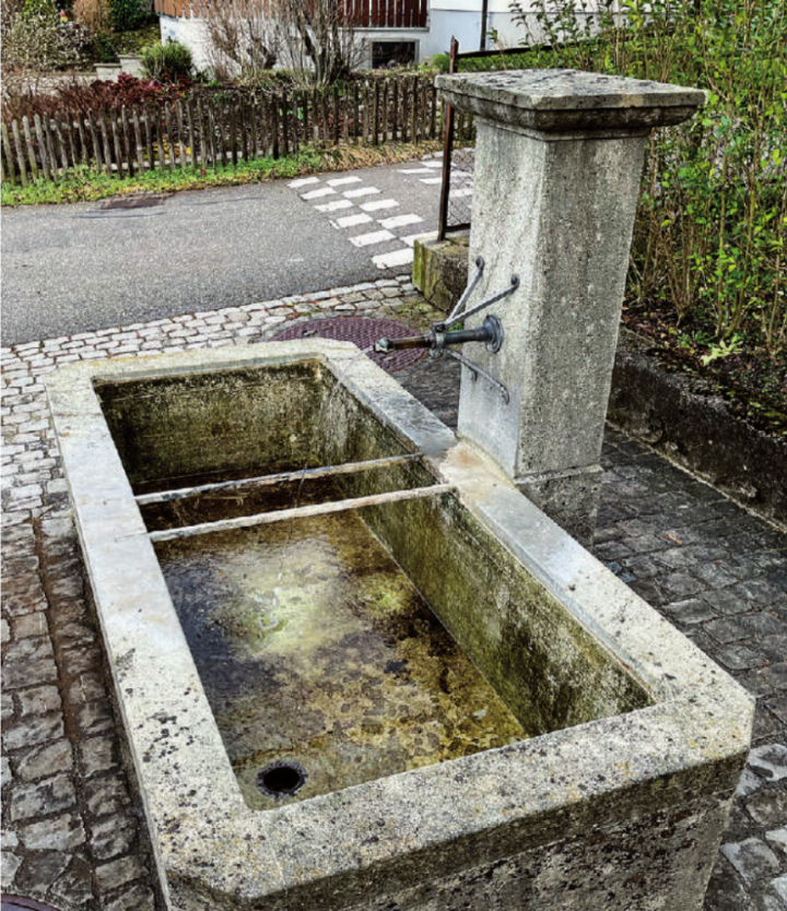Der leere Brunnentrog an der Gerbestrasse. Vom Stöpsel fehlt jede Spur. Bild: zvg