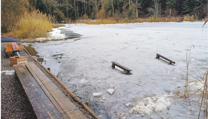 Banges Warten auf eine spiegelglatte Eisfläche auf dem Eisweiher. Bild: Kurt Lichtensteiger