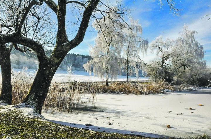 Winterstimmung am Hagenbucher Weier. Leserbild: Heinz Büchi, Häuslenen