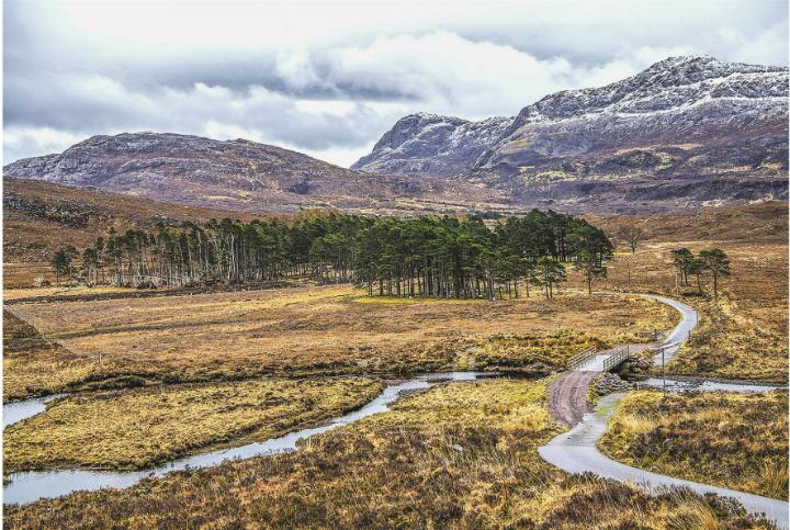 Manchmal braucht es Umwege, eine Brücke über stilles Wasser und den Mut, weiterzugehen. Bild: Andreas Utzinger