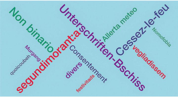 Viele «Worte des Jahres» haben «den Diskurs in der Schweiz geprägt» – zumindest in den jeweiligen Sprachregionen. Bild: zVg