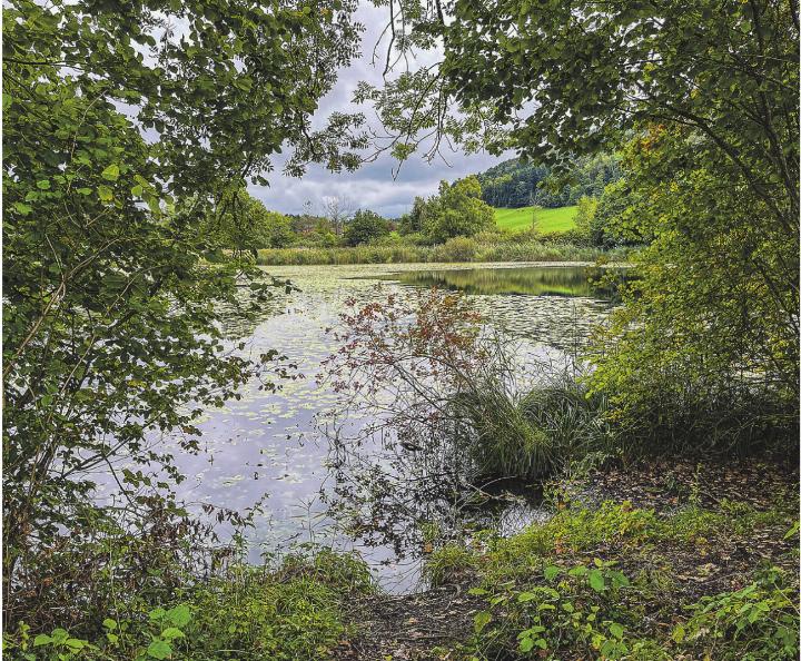 Herbstliche Stimmung am Heurütiweiher. Leserbild: Irene Hess, Aadorf