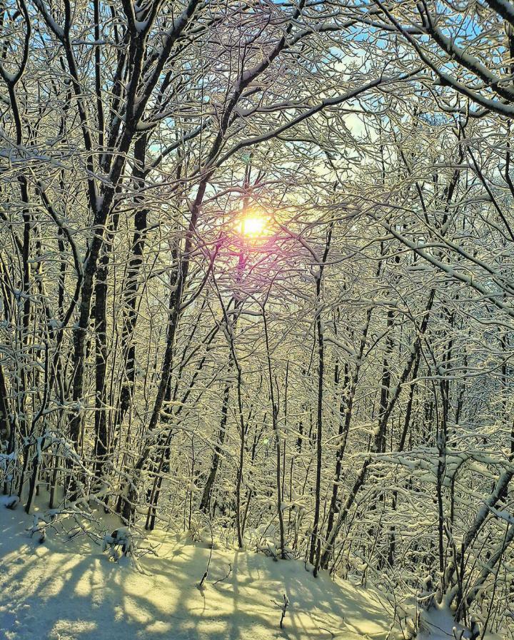 Mystische Stimmung über die Weihnachtstage auf dem Weg zum Schauenberg. Leserbild: Kurt Lichtensteiger, Aadorf