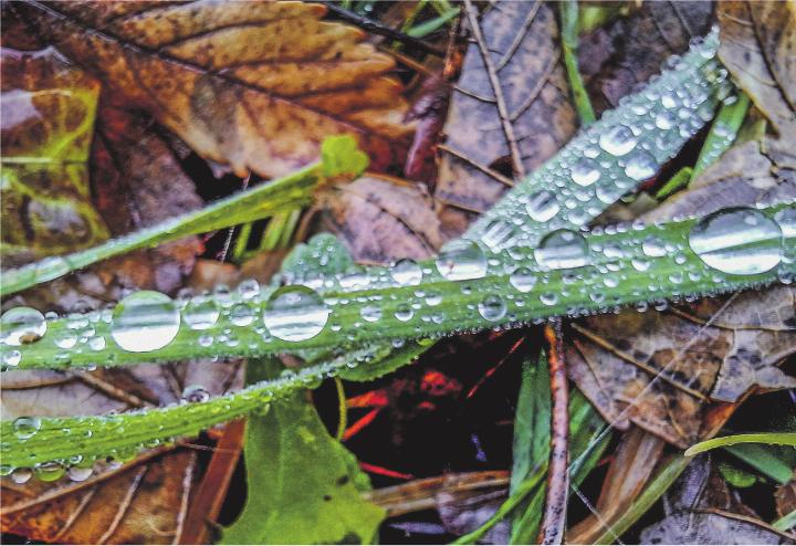 Leserbild: Yvonne Vogt, Aadorf