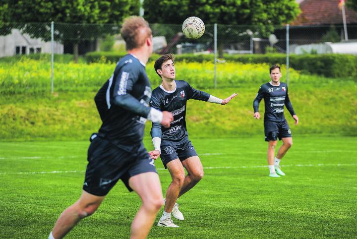 Die Faustballer der FG Elgg-Ettenhausen spielen am kommenden Wochenende um den Meistertitel 2024. Die Frauen auch. Bild: Swiss Faustball